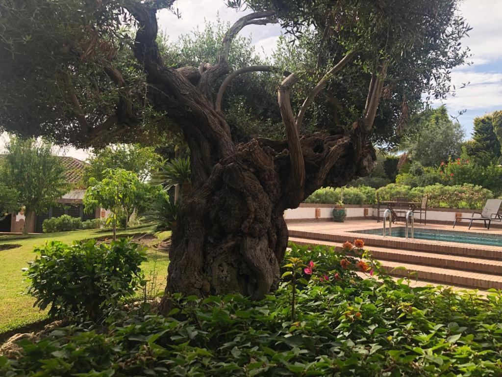 Authentic Andalucia Villa Marbella Luaran gambar